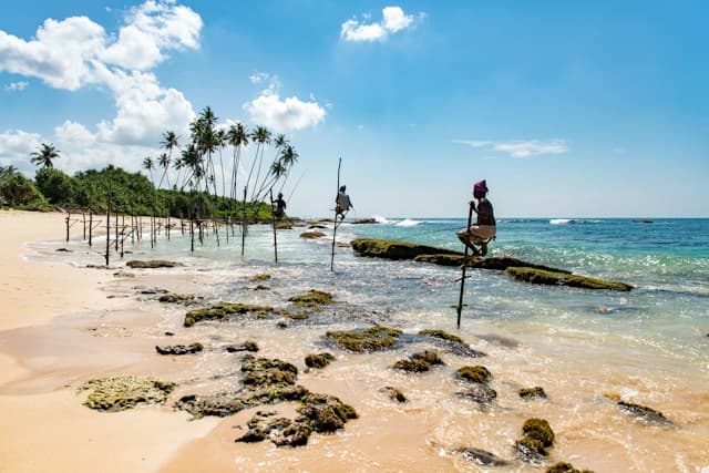 Mirissa — Whale coast