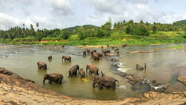 Yala — Wildlife country